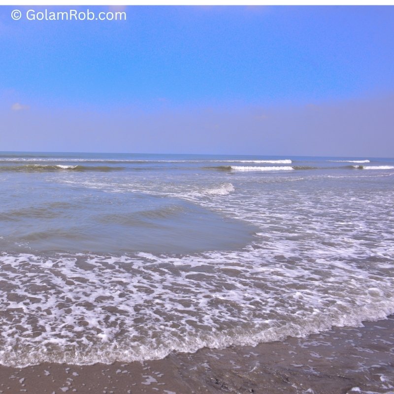 COCO annotation overlay showing bounding boxes and segmentation polygons on coastal imagery
