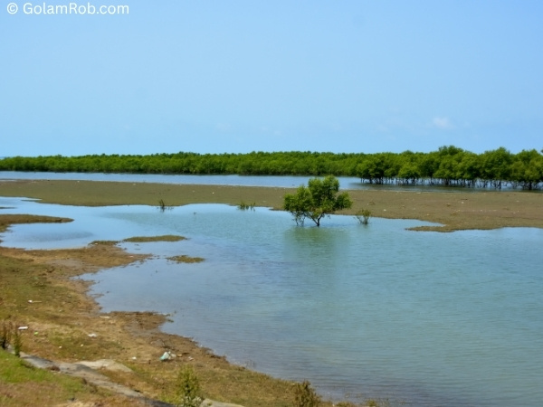 Coastal landscape with wind turbines, rice fields, and human activity — renewable energy CV